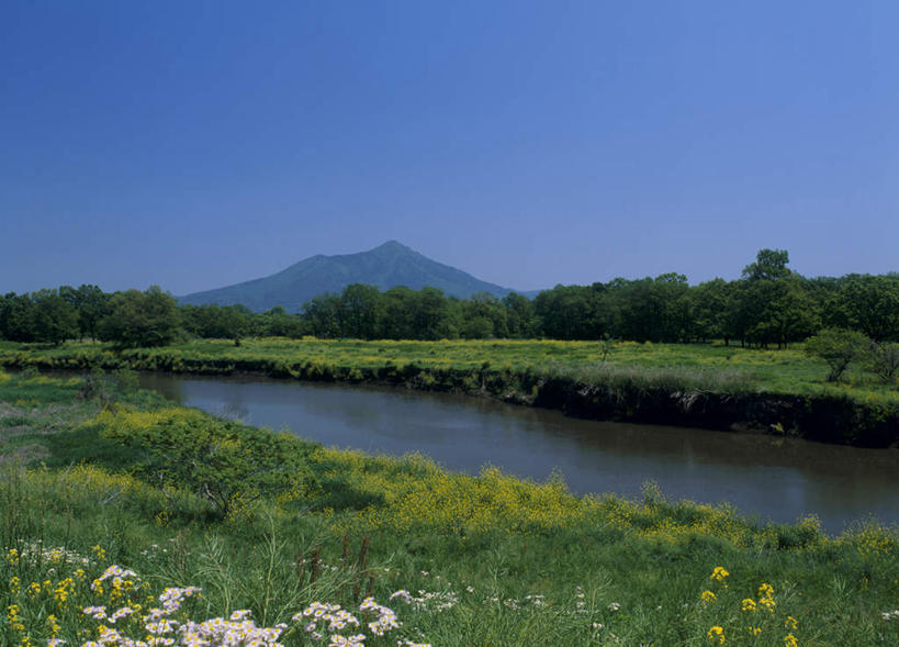 无人,横图,室外,白天,正面,旅游,度假,草地,草坪,河流,美景,山,水,日本,亚洲,盛开,河水,景观,山峰,水流,山峦,花蕾,娱乐,草,花,花瓣,花朵,鲜花,黄色,蓝色,蓝天,天空,自然,天,花苞,花蕊,享受,休闲,景色,放松,自然风光,东亚,本州,茨城,茨城县,关东地方,本州岛,日本国,县厅,彩图,水户,水户市,水戸,水戸市