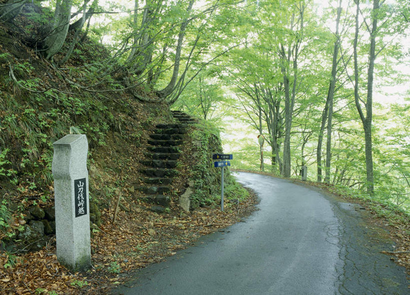 无人,栏杆,横图,室外,白天,正面,旅游,度假,美景,森林,树林,植物,楼梯,道路,路,日本,亚洲,标牌,扶手,阶梯,景观,小路,交通,娱乐,护栏,台阶,树,树木,绿色,自然,享受,休闲,景色,放松,生长,成长,自然风光,东亚,本州,本州岛,日本国,东北地方,山形,山形县,彩图