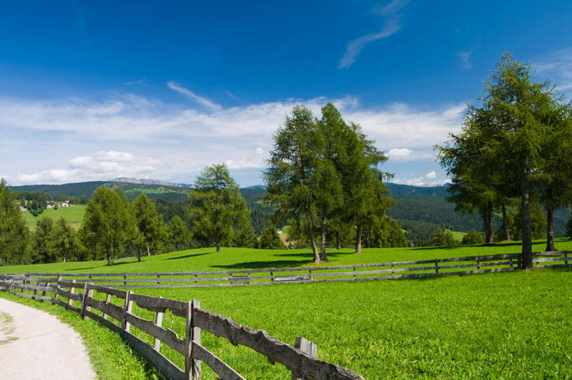 无人,栏杆,横图,室外,白天,正面,旅游,度假,草地,草坪,美景,山,山脉,植物,意大利,欧洲,阴影,光线,影子,栅栏,景观,篱笆,山峰,云,云朵,围栏,山峦,云彩,娱乐,护栏,草,树,树木,蓝色,绿色,白云,蓝天,天空,阳光,自然,群山,天,享受,休闲,景色,放松,生长,晴朗,成长,南欧,自然风光,意大利共和国,南蒂罗尔,晴空,彩图