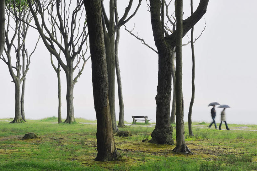 西方人,两个人,走,横图,室外,白天,侧面,树林,植物,德国,欧洲,欧洲人,树,树木,绿色,自然,撑伞,生长,成长,西欧,山毛榉,德意志联邦共和国,麻栎金刚,山毛榉树,梅克伦堡.前波美拉尼亚州,梅克伦堡.前波美拉尼亚,男人,男性,年轻男性,年轻女性,女人,女性,白种人,步行,散步,走路,彩图,全身