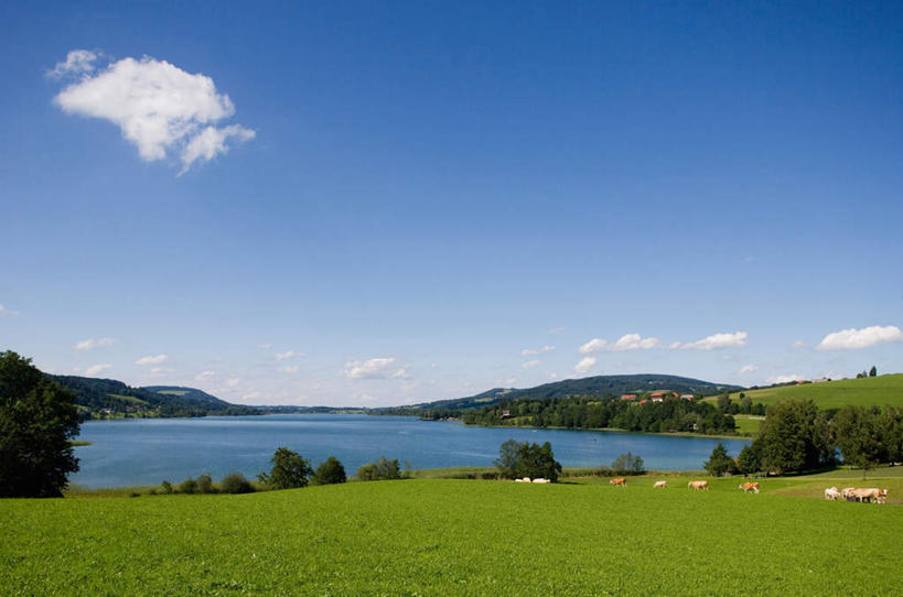 无人,横图,室内,白天,正面,河流,美景,山,山脉,水,奥地利,欧洲,河水,景观,山峰,水流,山峦,蓝天,天空,自然,群山,天,景色,自然风光,中欧,首府,萨尔斯堡,奥地利共和国,萨尔茨堡,萨尔茨堡州,彩图