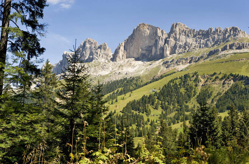 无人,横图,室外,白天,正面,旅游,度假,草地,草坪,美景,山,山脉,树林,植物,意大利,欧洲,阿尔卑斯山,景观,山峰,云,云朵,山峦,云彩,娱乐,草,树,树木,蓝色,绿色,白云,蓝天,天空,自然,群山,天,享受,休闲,景色,放松,生长,晴朗,成长,南欧,自然风光,阿尔卑斯山脉,意大利共和国,威内托,威内托大区,多洛米蒂山脉,贝卢诺,贝卢诺省,晴空,彩图,波尔萨诺,博尔扎诺,特伦托自治省