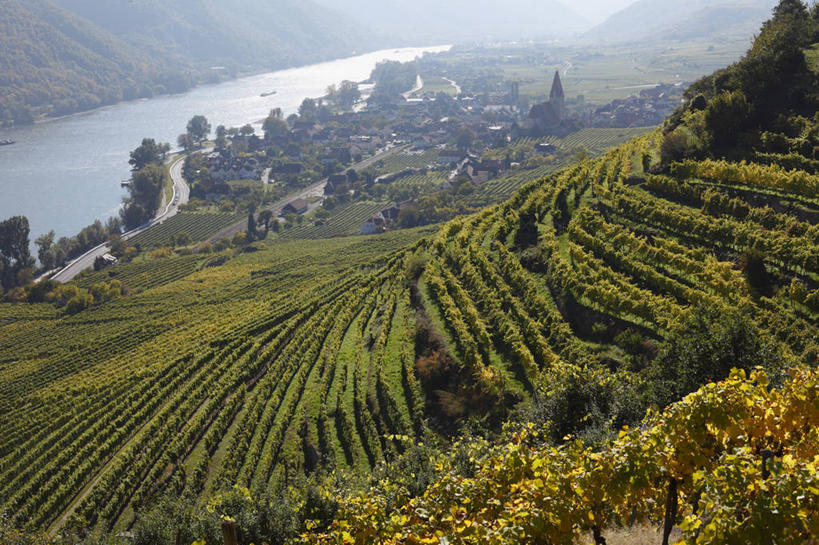 无人,家,果园,横图,俯视,室外,白天,旅游,度假,河流,美景,森林,山,山脉,树林,水,田园,植物,奥地利,欧洲,房屋,屋子,河水,景观,山峰,水流,公寓,山峦,娱乐,洋房,楼房,葡萄园,住宅,树,树木,绿色,自然,庄园,群山,享受,休闲,景色,放松,生长,成长,自然风光,中欧,奥地利共和国,下奥地利,下奥地利州,彩图,高角度拍摄,房子,瓦尔德威尔特尔