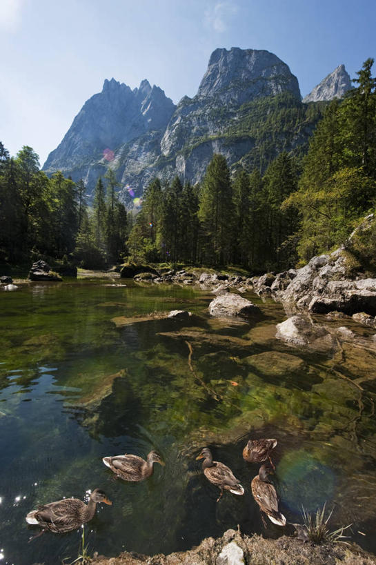 无人,竖图,室外,白天,正面,旅游,度假,湖,湖泊,石头,美景,森林,山,山脉,树林,水,植物,奥地利,欧洲,阴影,光线,石子,影子,湖面,景观,山顶,山峰,水流,水面,山峦,娱乐,树,树木,蓝色,绿色,倒影,蓝天,天空,阳光,自然,湖水,群山,天,享受,休闲,景色,放松,生长,晴朗,成长,倒映,自然风光,中欧,沉积岩,万里无云,奥地利共和国,颠峰,极峰,反照,上奥地利,上奥地利州,水成岩,石块,岩石,晴空,晴空万里,彩图,格蒙登县,戈绍
