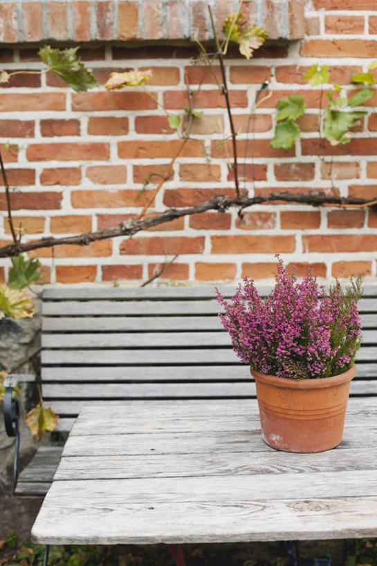 无人,家,竖图,室外,白天,正面,旅游,度假,美景,植物,别墅,桌面,桌子,椅子,德国,欧洲,盛开,木制,房屋,木椅,墙,屋子,景观,公寓,花蕾,娱乐,洋房,楼房,墙壁,墙面,住宅,花,花瓣,花朵,鲜花,树,树木,绿色,自然,木制品,花苞,花蕊,享受,休闲,景色,放松,生长,成长,庄重,西欧,自然风光,德意志联邦共和国,威严,扇骨木,石南,石南花,石楠,石楠花,梅克伦堡.前波美拉尼亚州,梅克伦堡.前波美拉尼亚,孤独,彩图,房子,克拉策堡