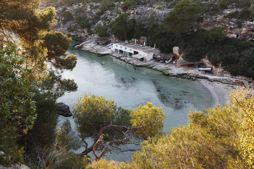 无人,家,横图,俯视,室外,白天,旅游,度假,河流,美景,秋季,森林,树林,水,植物,叶子,西班牙,欧洲,房屋,屋子,河水,景观,水流,枯叶,落叶,娱乐,楼房,住宅,树,树木,绿色,自然,享受,休闲,景色,放松,生长,成长,南欧,自然风光,马略卡岛,西班牙王国,巴利阿里群岛,马略卡,巴利阿里,叶,叶片,秋,秋天,彩图,高角度拍摄,房子,马洛卡岛