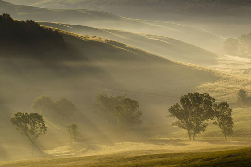 无人,横图,室外,白天,正面,旅游,度假,草地,草坪,美景,山,山脉,植物,雾,意大利,欧洲,阴影,朦胧,模糊,光线,影子,景观,山峰,拂晓,黎明,山峦,娱乐,草,树,树木,绿色,阳光,自然,群山,享受,休闲,景色,放松,生长,成长,迷雾,托斯卡纳,南欧,自然风光,意大利共和国,托斯卡纳大区,大雾,彩图