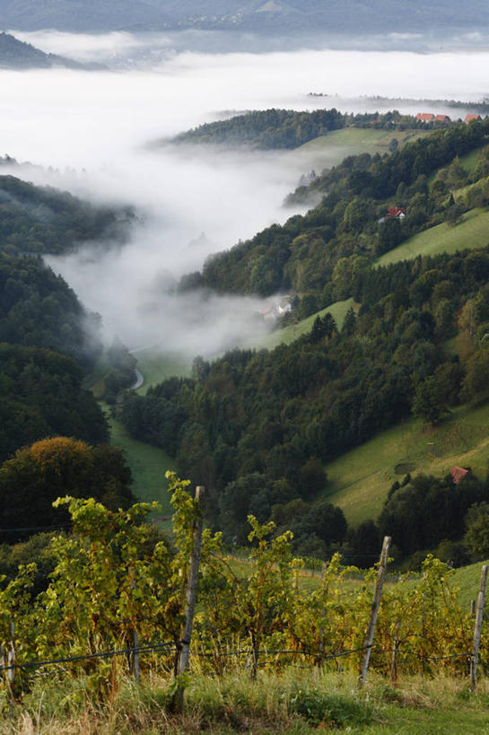 无人,竖图,俯视,航拍,室外,白天,旅游,度假,美景,森林,山,山脉,树林,植物,雾,奥地利,欧洲,朦胧,模糊,景观,山峰,山峦,娱乐,树,树木,绿色,自然,群山,享受,休闲,景色,放松,生长,成长,迷雾,鸟瞰,自然风光,中欧,奥地利共和国,施蒂利亚州,施泰尔马克州,大雾,彩图,高角度拍摄