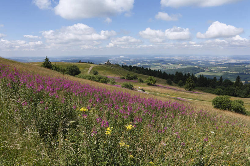 无人,横图,室外,白天,正面,旅游,度假,花海,花圃,美景,森林,山,山脉,树林,植物,叶子,德国,欧洲,阴影,盛开,光线,影子,景观,山峰,云,云朵,山峦,花蕾,云彩,娱乐,花,花瓣,花朵,花卉,鲜花,树,树木,蓝色,绿色,白云,蓝天,天空,阳光,自然,花丛,花束,花田,群山,天,花苞,花蕊,享受,休闲,景色,放松,生长,晴朗,成长,西欧,自然风光,德意志联邦共和国,黑森州,晴空,彩图,伦山
