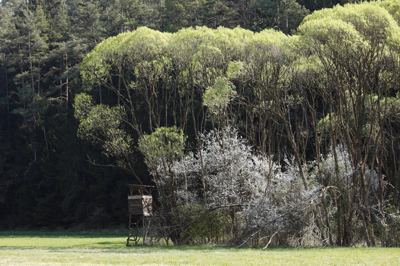 无人,横图,室外,白天,正面,旅游,度假,草地,草坪,美景,树林,植物,德国,欧洲,阴影,光线,影子,景观,娱乐,草,树,树木,绿色,阳光,自然,享受,休闲,景色,放松,生长,成长,西欧,自然风光,德意志联邦共和国,巴伐利亚,巴伐利亚州,拜恩州,拜恩自由州,彩图,上弗兰肯行政区