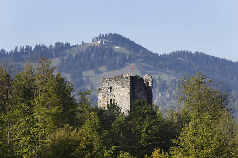 无人,横图,俯视,室外,白天,旅游,度假,美景,森林,山,山脉,树林,植物,德国,欧洲,阴影,光线,影子,堡垒,城堡,景观,山峰,山峦,娱乐,废墟,树,树木,蓝色,绿色,蓝天,天空,阳光,自然,群山,天,享受,休闲,景色,放松,生长,晴朗,成长,西欧,要塞,自然风光,万里无云,德意志联邦共和国,巴伐利亚,巴伐利亚州,拜恩州,拜恩自由州,设防,施瓦本行政区,晴空,晴空万里,彩图,高角度拍摄,伊门施塔特