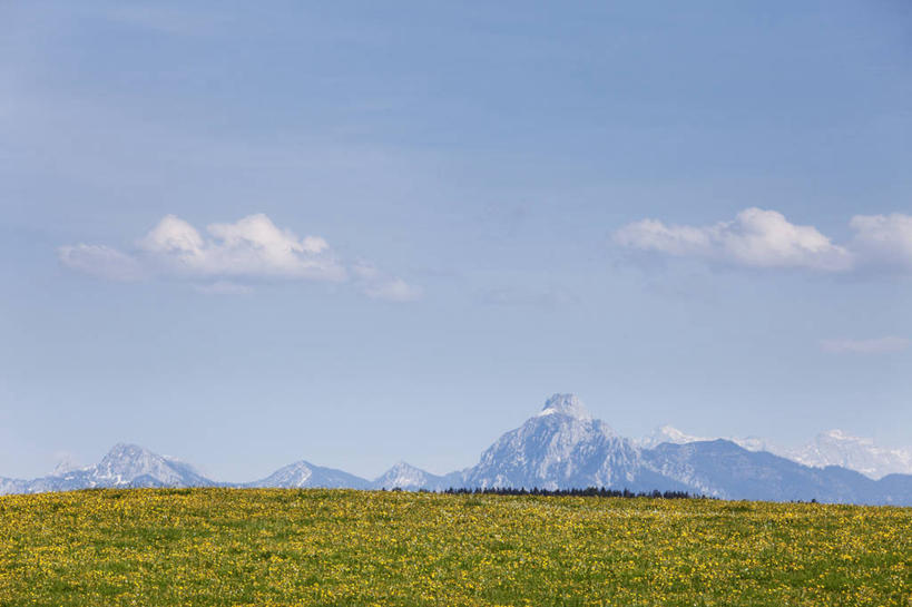 无人,横图,室外,白天,正面,旅游,度假,草地,草坪,美景,山,雪,雪山,植物,大雪,德国,欧洲,阴影,光线,影子,冰,积雪,景观,山峰,雪景,云,云朵,冬季,冬天,山峦,云彩,娱乐,草,蓝色,绿色,白云,蓝天,天空,阳光,自然,天,享受,休闲,景色,放松,寒冷,晴朗,冰冷,西欧,自然风光,德意志联邦共和国,严寒,冰凉,酷寒,凛冽,凛凛,极冷,巴伐利亚,巴伐利亚州,拜恩州,拜恩自由州,施瓦本行政区,晴空,彩图,内塞尔旺,上阿尔高县,上斯陶芬