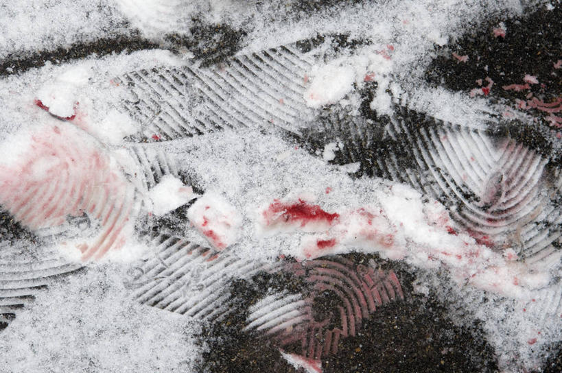 无人,横图,俯视,室外,特写,白天,雪,大雪,脚印,纹路,纹理,积雪,泥土,土壤,雪景,冬季,冬天,红色,血液,寒冷,足迹,犯罪,犯法,肌理,严寒,萍踪,彩图,高角度拍摄
