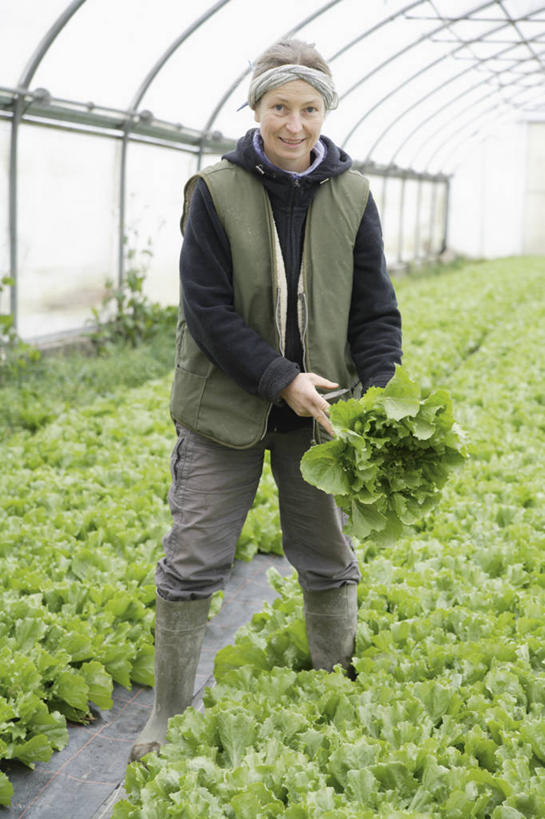 西方人,一个人,菜园,站,笑,微笑,露齿笑,竖图,室内,白天,正面,农作物,田园,蔬菜,鞋子,欧洲,欧洲人,仅一个女性,仅一个人,一排,许多,握,服装,新鲜,整齐,暖棚,雨鞋,雨靴,菊苣,食品,苦菜,拿,温室,拿着,注视,休闲装,靴子,食物,排列,衣服,观察,看,站着,仅一个中年女性,休闲,休闲服,握着,服饰,有机食品,绿色食品,设施,观看,堆,苦苣,察看,暖房,防寒,队列,关注,加温,胶鞋,透光,保温,菜棚,田庄,女人,女性,中年女性,白种人,站立,彩图,全身,咖啡草,咖啡萝卜,卡斯尼,明目菜,皱叶苦苣