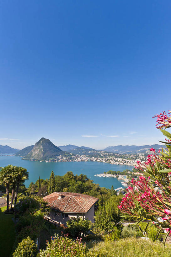 无人,家,竖图,俯视,室外,白天,旅游,度假,湖,湖泊,美景,山,山脉,水,植物,瑞士,欧洲,阴影,盛开,光线,影子,房屋,屋子,湖面,景观,山峰,水流,水面,山峦,花蕾,娱乐,楼房,住宅,花,花瓣,花朵,鲜花,树,树木,蓝色,绿色,蓝天,天空,阳光,自然,湖水,群山,天,花苞,花蕊,享受,休闲,景色,放松,生长,晴朗,成长,自然风光,中欧,卢加诺,万里无云,瑞士联邦,晴空,晴空万里,彩图,高角度拍摄,房子