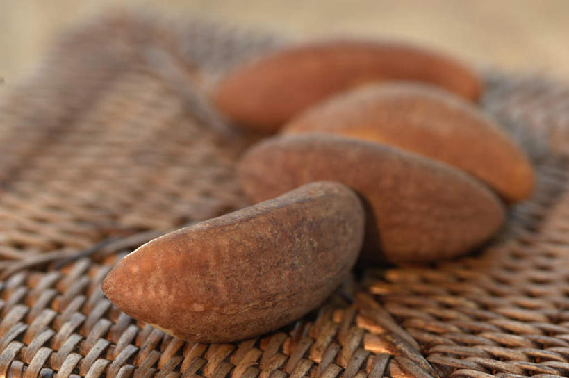 无人,横图,俯视,室内,特写,白天,一排,阴影,朦胧,模糊,整齐,反射,影子,坚果,果实,排列,干果,四个,摄影,影棚,队列,巴西栗,巴西坚果,巴西果,鲍鱼果,彩图,高角度拍摄,影棚拍摄,拍摄