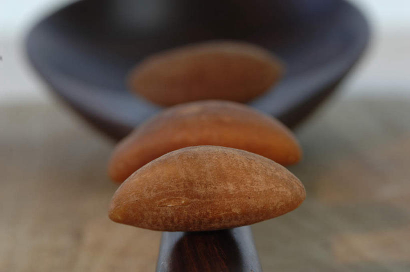 无人,横图,俯视,室内,特写,白天,一排,阴影,朦胧,模糊,整齐,反射,影子,勺子,坚果,果实,排列,三个,一个,调羹,汤匙,干果,摄影,影棚,单个,队列,巴西栗,巴西坚果,巴西果,鲍鱼果,彩图,高角度拍摄,影棚拍摄,拍摄