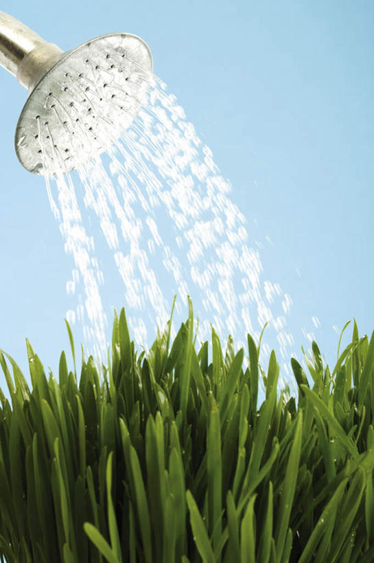 无人,竖图,室内,特写,白天,正面,草地,草坪,植物,飞溅,蓝色背景,溅,壶,液体,水滴,洒水壶,水壶,水珠,草,绿色,摄影,影棚,喷洒,浇水壶,彩图,影棚拍摄,拍摄