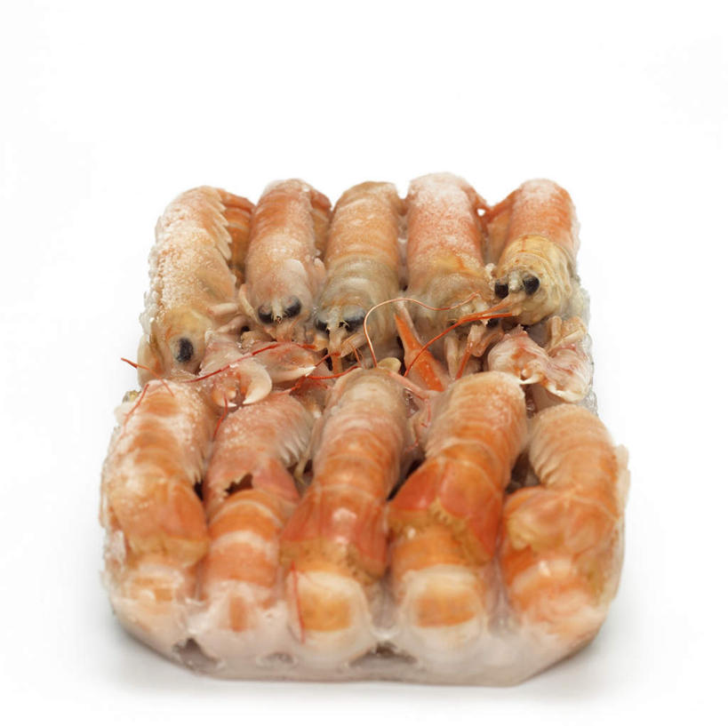 无人,横图,俯视,室内,特写,白天,白色背景,一排,许多,阴影,整齐,反射,影子,虾,冷冻,大虾,排列,摄影,影棚,对虾,队列,斑节虾,东方对虾,中国对虾,彩图,高角度拍摄,影棚拍摄,拍摄