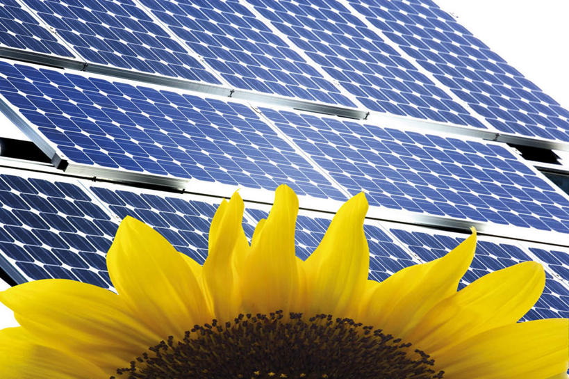 无人,横图,室外,特写,白天,正面,向日葵,阴影,环保,盛开,电力,光线,影子,电能,花蕾,花,花瓣,花朵,鲜花,黄色,阳光,花苞,花蕊,能源,环境,存储,回收,资源,储存,蓄电池,利用,低碳,循环,干电池,蓄电,持续,太阳能电池,彩图,电池