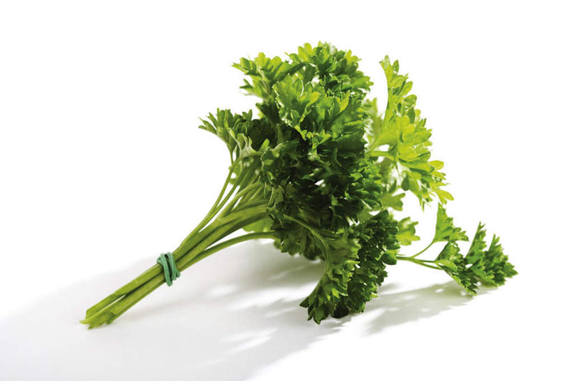 无人,横图,俯视,室内,特写,白天,白色背景,芹菜,蔬菜,叶子,阴影,反射,影子,调味,香料,佐料,绿叶,嫩叶,摄影,荷兰芹,欧芹,香芹,影棚,捆绑,配料,草本,法香,巴西利,洋香菜,洋芫荽,法国香菜,作料,旱芹菜,番荽,绑缚,橡皮圈,叶,叶片,彩图,高角度拍摄,影棚拍摄,拍摄
