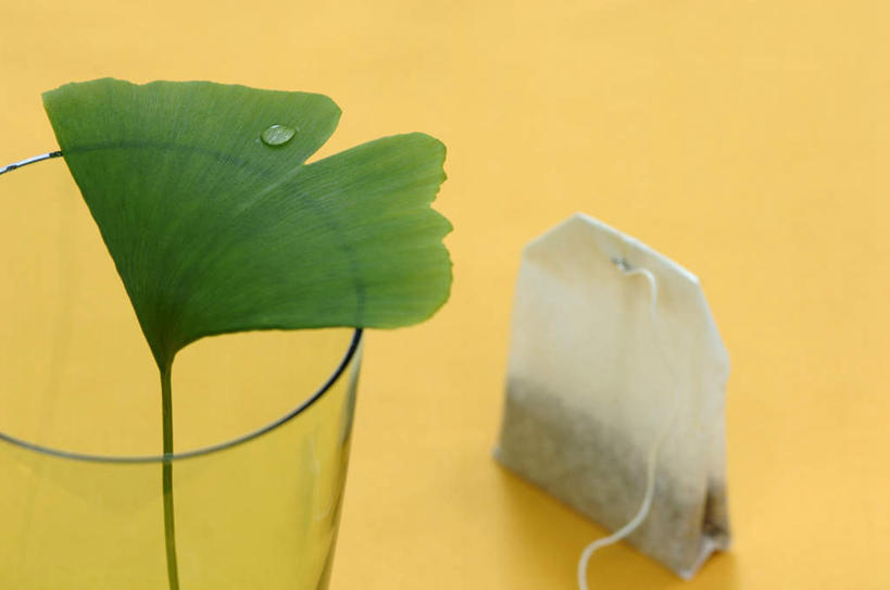 无人,横图,俯视,室内,特写,白天,植物,杯子,叶子,黄色背景,草药,药草,茶包,中药,树叶,绿色,水杯,银杏叶,摄影,影棚,袋泡茶,药材,中草药,中药材,本草,白果叶,叶片,茶杯,彩图,高角度拍摄,影棚拍摄,拍摄