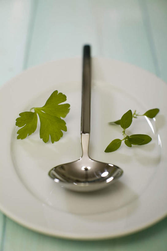 无人,竖图,俯视,室内,特写,白天,白色背景,桌子,芹菜,蔬菜,餐具,阴影,反射,碟子,盘,影子,勺子,一个,白色,盘子,调羹,碟,汤匙,摄影,荷兰芹,欧芹,香芹,影棚,单个,法香,巴西利,洋香菜,洋芫荽,法国香菜,旱芹菜,番荽,彩图,高角度拍摄,影棚拍摄,拍摄