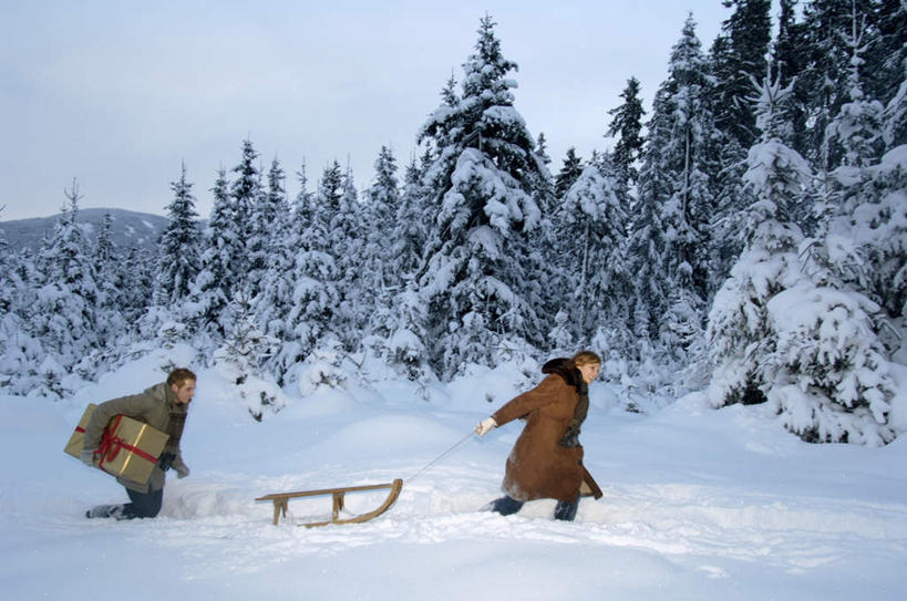 西方人,两个人,夫妻,走,拉,笑,微笑,露齿笑,横图,室外,白天,侧面,爱情,雪,植物,大雪,松树,礼盒,礼物,欧洲,欧洲人,纸盒,积雪,雪景,云,云朵,冬天,浪漫,拿,云彩,拿着,注视,休闲装,盒子,树,树木,蓝色,绿色,白云,蓝天,天空,自然,包装盒,礼品盒,天,观察,看,休闲,休闲服,恩爱,拖,恋人,礼品,生长,晴朗,成长,观看,雪橇,察看,关注,男人,男性,年轻男性,年轻女性,女人,女性,白种人,情侣,晴空,步行,散步,走路,彩图,全身,伴侣