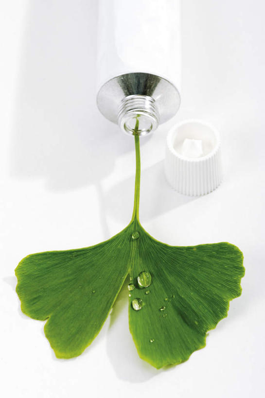 无人,竖图,俯视,室内,特写,白天,白色背景,水,植物,叶子,一片,液体,水滴,草药,药草,中药,树叶,绿色,银杏叶,摄影,影棚,药材,中草药,中药材,本草,白果叶,叶片,彩图,高角度拍摄,影棚拍摄,拍摄