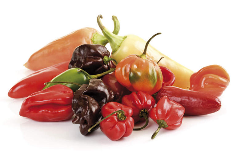 无人,横图,室内,特写,白天,白色背景,正面,辣椒,蔬菜,一堆,许多,堆叠,堆积,新鲜,食品,食物,摄影,有机食品,绿色食品,影棚,堆,彩椒,辣角,红海椒,大椒,辣虎,广椒,墨西哥辣椒,甜椒,柿子椒,辣子,红辣椒,海椒,番椒,灯笼椒,彩图,影棚拍摄,拍摄