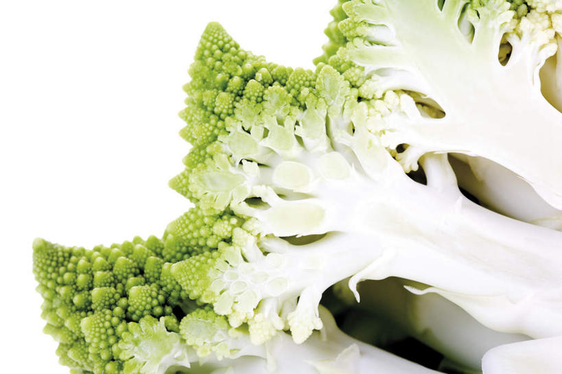 无人,横图,室内,特写,白天,白色背景,正面,蔬菜,切开,新鲜,花菜,花椰菜,西兰花,食品,食物,切,摄影,有机食品,绿色食品,影棚,椰菜花,剖面,切面,罗马花椰菜,青宝塔,甘蓝花,彩图,影棚拍摄,拍摄