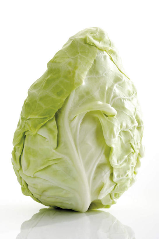 无人,竖图,室内,特写,白天,白色背景,正面,蔬菜,椰菜,卷心菜,新鲜,食品,食物,一个,摄影,有机食品,绿色食品,影棚,单个,结球甘蓝,甘兰,包心菜,彩图,影棚拍摄,拍摄