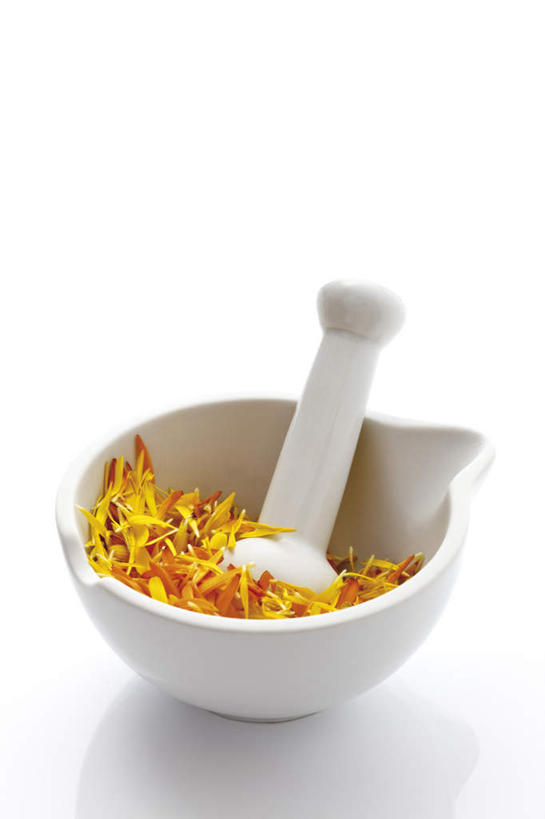 无人,竖图,俯视,室内,特写,白天,白色背景,桌面,桌子,阴影,盛开,反射,木制,影子,万寿菊,花蕾,花,花瓣,花朵,鲜花,木制品,花苞,花蕊,健康,器皿,摄影,影棚,研磨,分别,臼杵,离别,研杵,研钵,长寿,臼,长生菊,臭芙蓉,蜂窝菊,黄金盏,金盏花,金盏菊,醒酒花,惜别,友情,彩图,高角度拍摄,影棚拍摄,拍摄