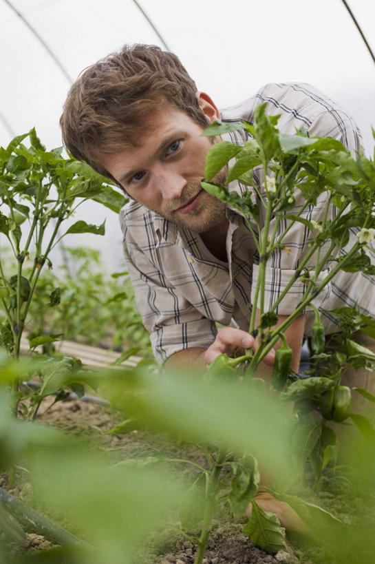 西方人,一个人,农民,菜园,蹲,竖图,室内,白天,正面,农作物,田园,叶子,欧洲,欧洲人,仅一个男性,仅一个人,握,服装,朦胧,模糊,暖棚,绿叶,拿,拿着,注视,休闲装,仅一个年轻男性,衣服,观察,看,休闲,休闲服,嫩叶,握着,服饰,观看,察看,关注,菜棚,田庄,男人,男性,年轻男性,白种人,叶,叶片,佃农,农场主,农夫,农工,乡下人,小农,庄稼人,蹲着,半身,彩图