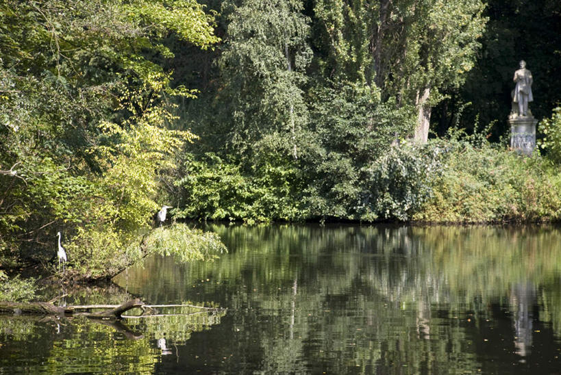 无人,公园,横图,室外,白天,正面,旅游,度假,湖,湖泊,美景,森林,树林,水,植物,德国,欧洲,波纹,湖面,景观,水流,水面,涟漪,首都,娱乐,柏林,树,树木,绿色,倒影,水纹,自然,波浪,湖水,享受,休闲,景色,放松,生长,成长,倒映,西欧,自然风光,德意志联邦共和国,水晕,柏林州,反照,蒂尔加藤公园,彩图