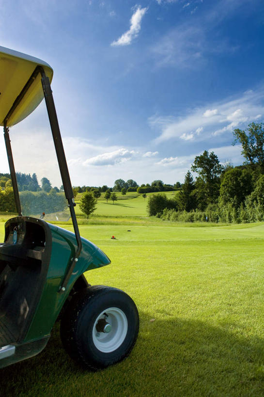 无人,竖图,室外,白天,正面,旅游,度假,草地,草坪,美景,植物,德国,欧洲,阴影,光线,影子,景观,云,云朵,球场,云彩,娱乐,高尔夫球场,草,树,树木,蓝色,绿色,白云,蓝天,天空,阳光,自然,交通工具,天,享受,休闲,景色,放松,生长,晴朗,成长,西欧,自然风光,载具,高尔夫车,绿茵场,高尔夫球车,高尔夫观光车,高尔夫用品,德意志联邦共和国,巴伐利亚,巴伐利亚州,拜恩州,拜恩自由州,晴空,彩图