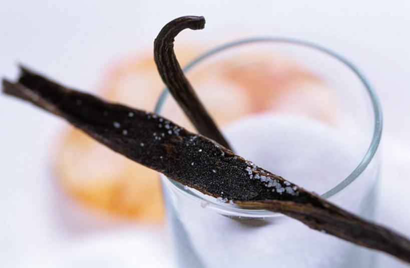 无人,横图,俯视,室内,特写,白天,植物,杯子,朦胧,模糊,勺子,草药,药草,中药,玻璃制品,水杯,调羹,汤匙,清热,摄影,影棚,药材,中草药,香草兰,中药材,本草,解毒,婆绒花,山薄荷,石母草,玻璃杯,彩图,高角度拍摄,影棚拍摄,拍摄