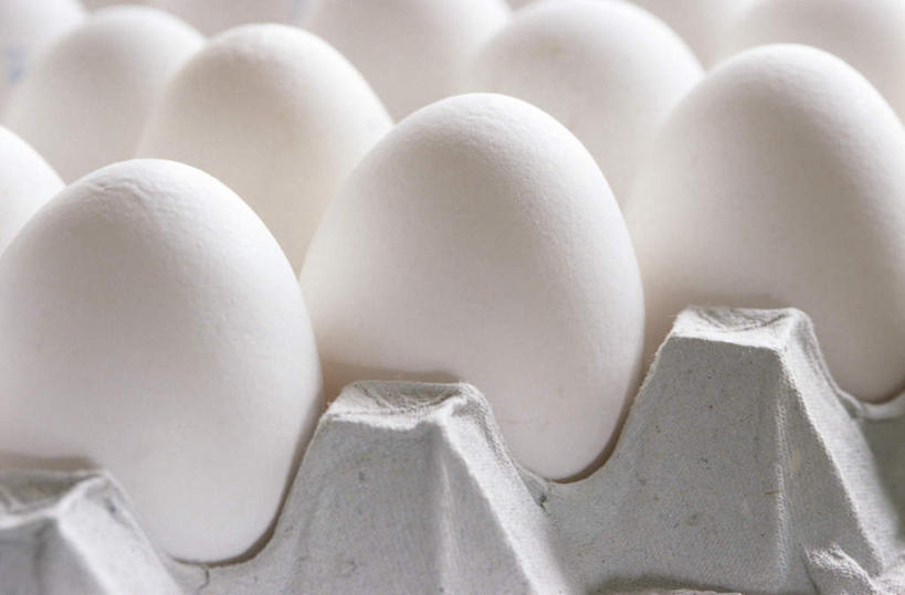 无人,横图,室内,特写,白天,白色背景,正面,一排,许多,阴影,环保,反射,蛋格,影子,蛋,鸡蛋,排列,白色,摄影,影棚,能源,回收,资源,队列,利用,低碳,鸡蛋盒,循环,草鸡蛋,鸡蛋格,蛋托,蛋盒,持续,彩图,影棚拍摄,拍摄