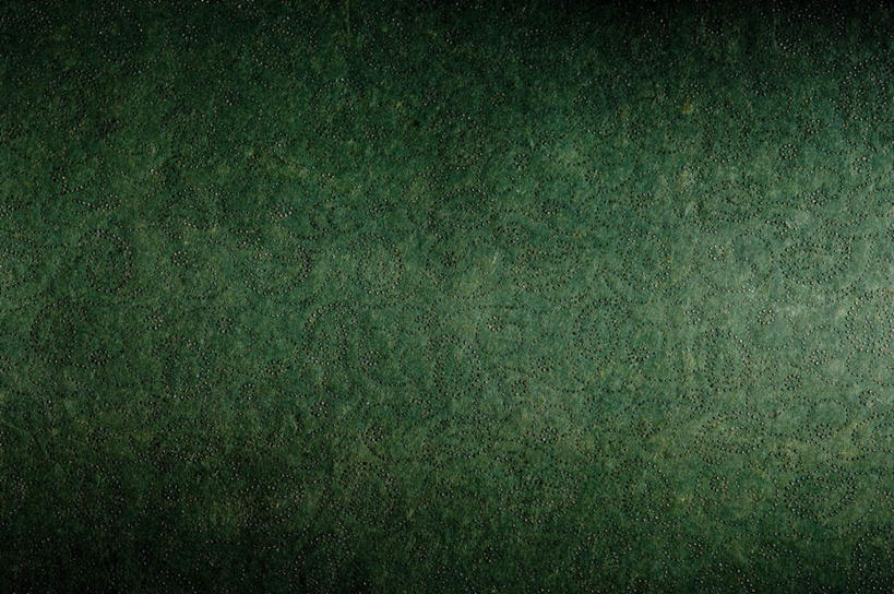 无人,横图,室内,特写,白天,正面,静物,阴影,花纹,新鲜,反射,纹路,图案,纹理,影子,绿色,青春,生命,和平,安详,肌理,冷色,彩图