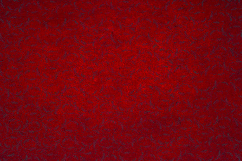 无人,横图,室内,特写,白天,正面,兴奋,热情,静物,阴影,花纹,反射,纹路,图案,纹理,影子,开放,红色,健康,温暖,奔放,活力,积极,激情,朝气,暖色,吉祥,生命,饱满,肌理,革命,热烈,赤色,充实,斗志,喜气,主动,彩图,欢乐