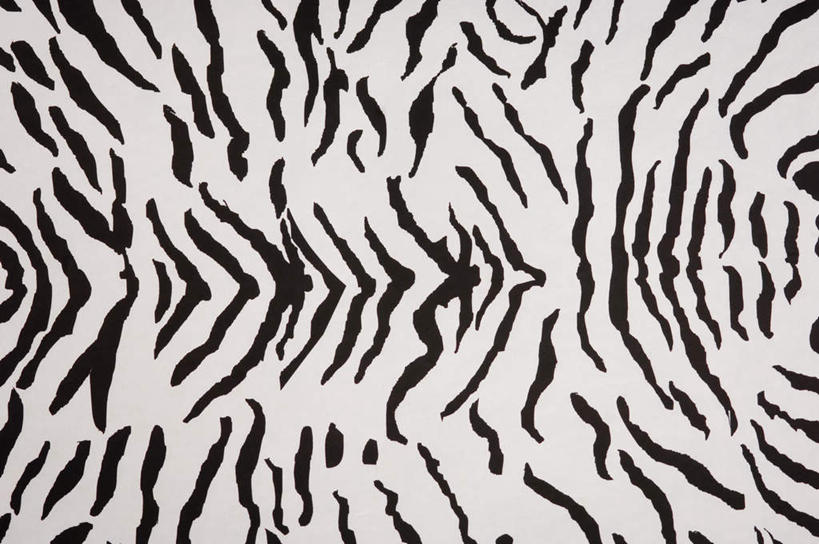 无人,横图,室内,特写,白天,正面,神秘,静物,阴影,花纹,条纹,反射,纹路,图案,纹理,影子,白色,黑色,严肃,庄重,含蓄,肌理,沉静,中间色,斑马纹,彩图