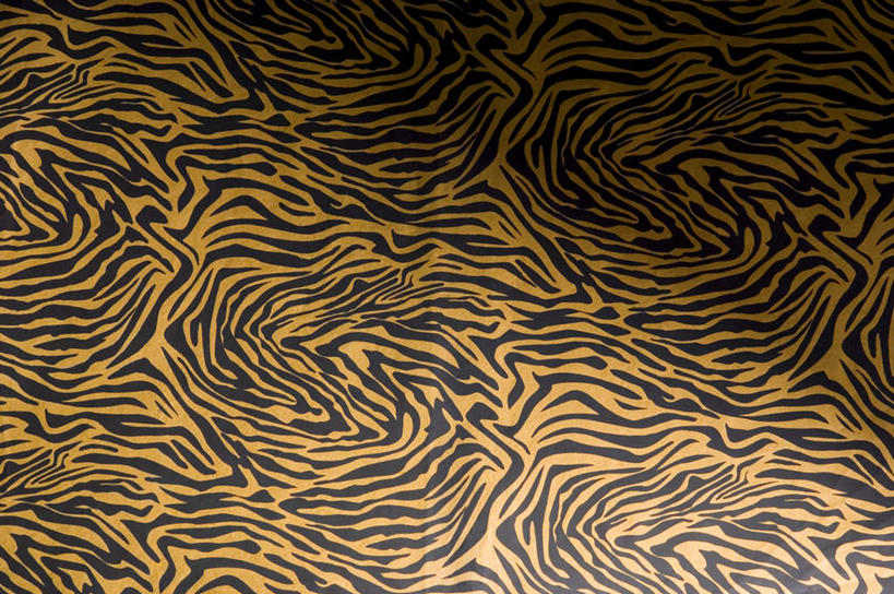 无人,横图,室内,特写,白天,正面,神秘,静物,阴影,花纹,曲折,弯曲,反射,曲线,纹路,图案,纹理,影子,黑色,金色,蜿蜒,严肃,庄重,含蓄,肌理,沉静,中间色,彩图