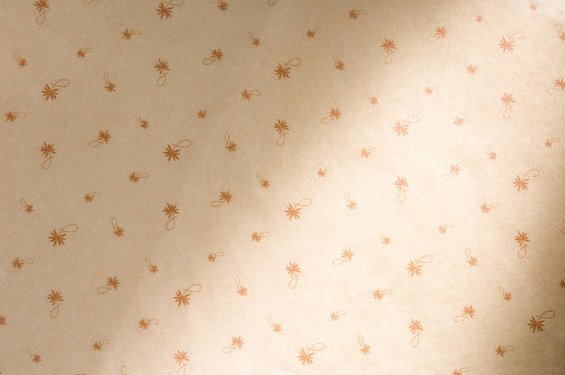 无人,横图,室内,特写,白天,正面,幸福,静物,阴影,花纹,盛开,反射,纹路,图案,纹理,影子,辉煌,花蕾,花,花瓣,花朵,鲜花,黄色,花苞,花蕊,温暖,橙色,活泼,华丽,暖色,温情,肌理,炽热,响亮,跃动,甜蜜,彩图,愉快