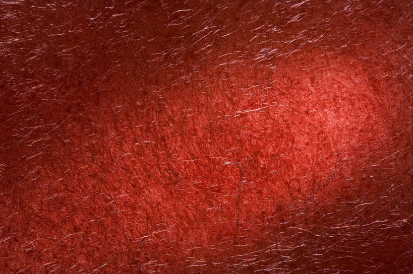 无人,横图,室内,特写,白天,正面,兴奋,热情,静物,阴影,花纹,反射,纹路,图案,纹理,影子,开放,红色,健康,温暖,奔放,活力,积极,激情,朝气,暖色,吉祥,生命,饱满,肌理,革命,热烈,赤色,充实,斗志,喜气,主动,彩图,欢乐