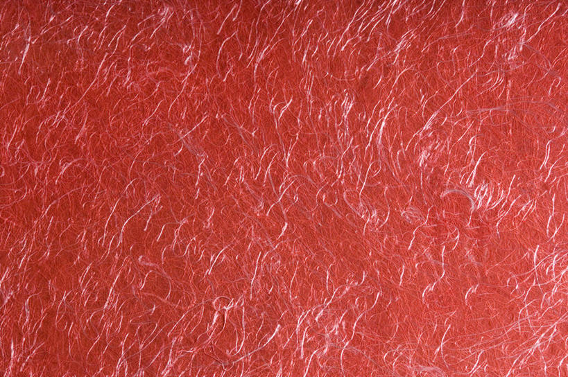 无人,横图,室内,特写,白天,正面,兴奋,热情,静物,阴影,花纹,反射,纹路,图案,纹理,影子,开放,红色,健康,温暖,奔放,活力,积极,激情,朝气,暖色,吉祥,生命,饱满,肌理,革命,热烈,赤色,充实,斗志,喜气,主动,彩图,欢乐