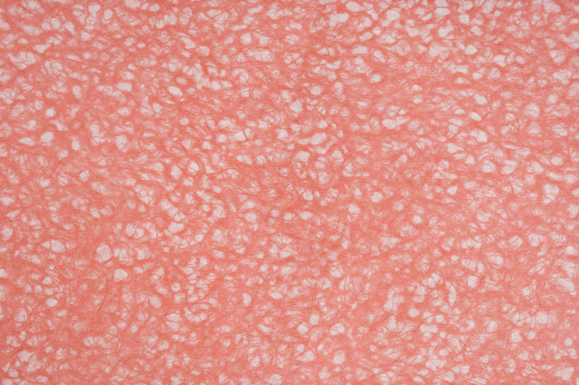 无人,横图,室内,特写,白天,正面,兴奋,热情,静物,阴影,花纹,反射,纹路,图案,纹理,影子,开放,红色,健康,温暖,奔放,活力,积极,激情,朝气,暖色,吉祥,生命,饱满,肌理,革命,热烈,赤色,充实,斗志,喜气,主动,彩图,欢乐