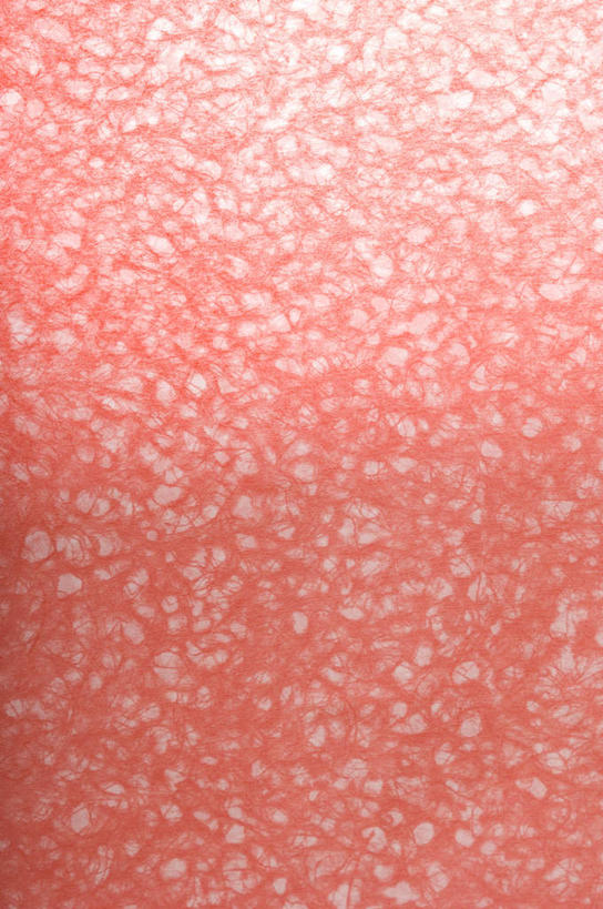 无人,竖图,室内,特写,白天,正面,兴奋,热情,静物,阴影,花纹,反射,纹路,图案,纹理,影子,开放,红色,健康,温暖,奔放,活力,积极,激情,朝气,暖色,吉祥,生命,饱满,肌理,革命,热烈,赤色,充实,斗志,喜气,主动,彩图,欢乐