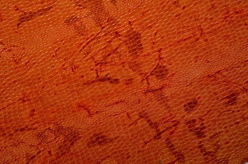 无人,横图,室内,特写,白天,正面,兴奋,热情,静物,阴影,花纹,反射,纹路,图案,纹理,影子,开放,红色,健康,温暖,奔放,活力,积极,激情,朝气,暖色,吉祥,生命,饱满,肌理,革命,热烈,赤色,充实,斗志,喜气,主动,彩图,欢乐