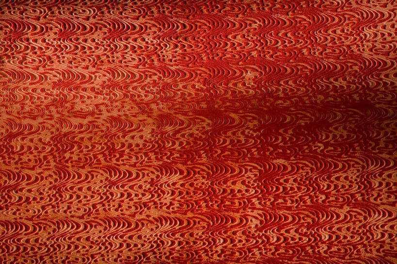 无人,横图,室内,特写,白天,正面,兴奋,热情,静物,阴影,花纹,反射,纹路,图案,纹理,影子,开放,红色,健康,温暖,奔放,活力,积极,激情,朝气,暖色,吉祥,生命,饱满,肌理,革命,热烈,赤色,充实,斗志,喜气,主动,彩图,欢乐