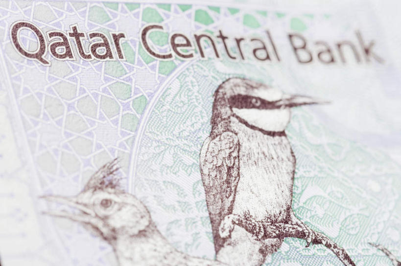 无人,横图,俯视,室内,特写,白天,钱,鸟,静物,卡塔尔,亚洲,麻雀,鸟类,钱币,一只,钞票,金融,纸币,经济,西亚,流通,纸钞,贸易,家雀,霍雀,老家贼,卡塔尔国,货币,现金,彩图,高角度拍摄,全身